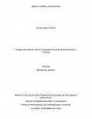ENSAYO TÉCNICAS DE COMUNICACIÓN.APRENDIENDO A ESCRIBIR