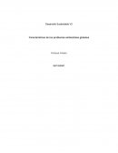 Características de los problemas ambientales globales