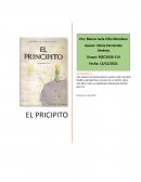 Resumen de El Principito