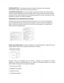 Visión estratégica de servicio Energy solar del Huila