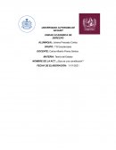 ¿Que es una Constitucion?