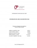 CONTAMINACIÓN DEL AIRE EN LIMA METROPOLITANA