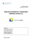 ANÁLISIS ECONÓMICO Y FINANCIERO EMPRESA LIPIGAS S.A