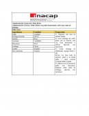 Argumentación Comercial: Palta Reina