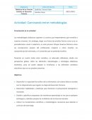 Trabajo Ciencias Sociales Caminando entre metodologías UNIR