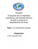Evaluación de la rentabilidad económica y del mercado del vino de piña LLamap en el departamento de Rivas