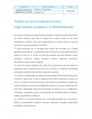 Trabajo: Los centros educativos como organizaciones complejas y multidimensionales