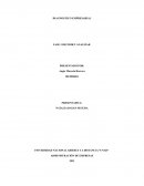 Diagnotico empresarial