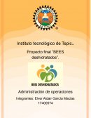 Proyecto final “BEES deshidratados”