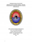 PLAN DE MARKETING BEMBOS