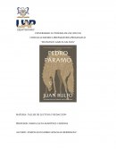 Ensayo Pedro Páramo