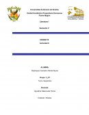 Análisis de un relato . La intrusa