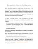 Deterioro ambiental o social por la externalización de costos en la producción de bienes y servicios a nivel local (Minatitlán, Veracruz)