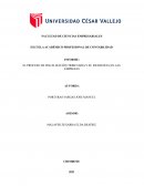 INFORME: EL PROCESO DE FISCALIZACIÓN TRIBUTARIA Y SU INCIDENCIA EN LAS EMPRESAS
