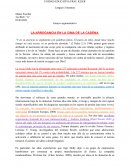 Ensayo sobre la clonación