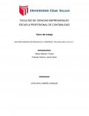 AUDITORIA BASADA EN RIESGOS DE LA EMPRESA “TAXI SAN JUAN 3:16 S.A.C.”