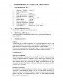 INFORME DEL TEST DE LA FAMILIA DE LOUIS CORMAN