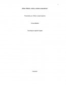 Afiche “Misión, visión y valores corporativos”