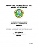 SITUACION FORESTAL EN EL ESTADO DE MICHOACAN