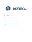 La mujer, y las principales causas de su feminicidio