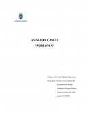 ANÁLISIS CASO 2 “FIBRAPAN”