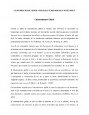 ECONOMÍA DE RECURSOS NATURALES Y DESARROLLO SOSTENIBLE. Calentamiento Global