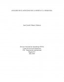 ANÁLISIS DE ELASTICIDAD DE LA OFERTA Y LA DEMANDA