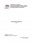 Sistemas y Tecnologías de P.I