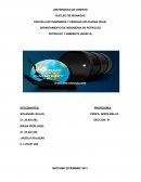 Petroleo y ambiente