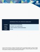 La organización de los grupos sociales