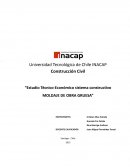 Estudio técnico-económico sistema constructivo moldaje de obra gruesa