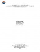 CARACTERÍSTICAS BIOLÓGICAS DE LOS HONGOS FITOPATÓGENOS Phytophthora Y Phythium E IMPORTANCIA EN LA AGRICULTURA COLOMBIANA