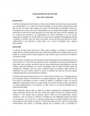 Steve Jobs un líder ideal