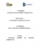 ENSAYO SOBRE EL MEDIO AMBIENTE