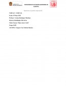 Ensayo “Rojo como el cielo”