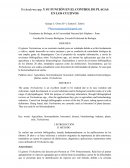 Trichoderma spp. Y SU FUNCIÓN EN EL CONTROL DE PLAGAS EN LOS CULTIVOS