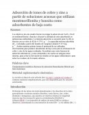 Adsorción de iones de cobre y zinc
