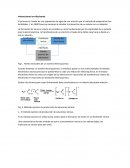 Interacciones ion-disolvente