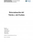 Determinación del Nitrito y del Fosfato
