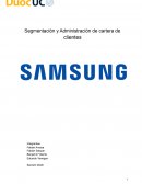 Segmentación Samsung