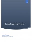 Semiología de la imagen