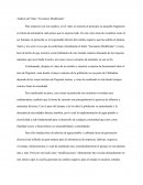 Análisis de Video “Escenario Modificado”