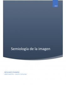 Semiología de la imagen. Página 1