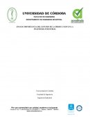 ENSAYO IMPORTANCIA DEL ESTUDIO DE LA PRODUCCION EN LA INGENIERIA INDUSTRIAL