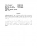 Ensayo Ética a Nicómaco / Aristóteles