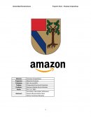 Analisis Amazon, Finanzas Corporativas