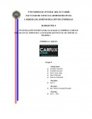 INVESTIGACIÓN INTERNA PARA ANALIZAR LA EMPRESA CARFLIX