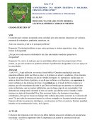 Construimos una misión fraterna y solidaria cristiana por el Perú