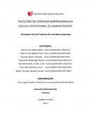 El Impacto De las Finanzas En Las Microempresas