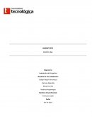 Evaluación de Proyectos. Electric Go SpA